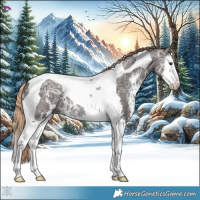 Horse Color:Liver Chestnut Ice Sabino Splash Tobiano 