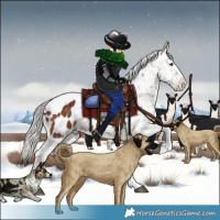 Horse Color:White Spotted Silver Brown Sabino Appaloosa Rabicano 