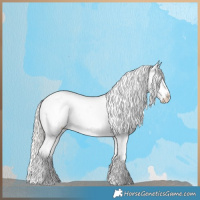 Horse Color:Silver Bay Roan Dun Snowflake Varnish Rabicano 