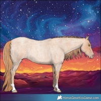 Horse Color:Gold Champagne Roan