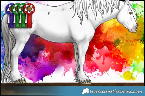 Horse Color:Liver Chestnut Appaloosa 