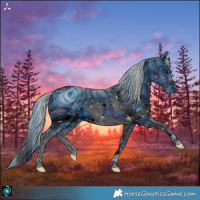Horse Color:ERROR: UNKNOWN ANOMALY