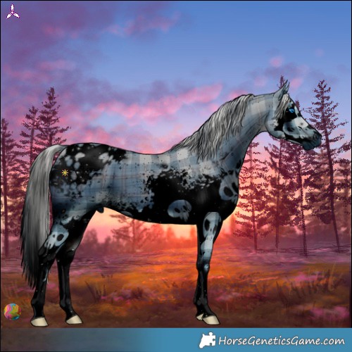 Horse Color:ERROR: UNKNOWN ANOMALY