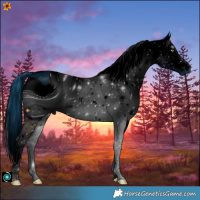 Horse Color:ERROR: UNKNOWN ANOMALY