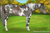 Horse Color:Platinum White Spotted Liver Chestnut 