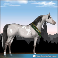 Horse Color:Platinum White Spotted Liver Red Dun