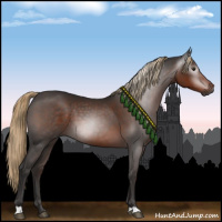 Horse Color:Gray Liver Chestnut