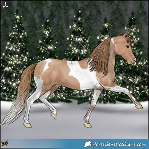 Horse Color:Black Pearl Tobiano 