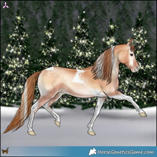 Horse Color:Bay Pearl Onyx Tobiano 
