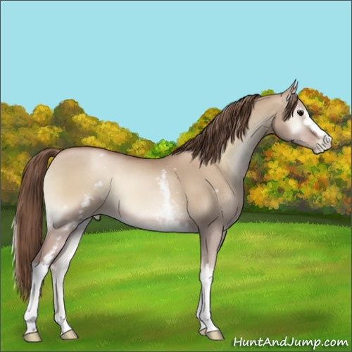 Horse Color:White Spotted Grullo Pearl Onyx 