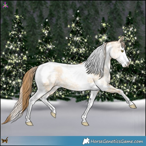 Horse Color:White Spotted Bay Pearl Dun Tobiano 