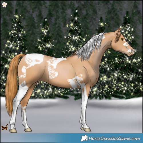Horse Color:Chestnut Pearl Tobiano 