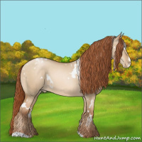 Horse Color:White Spotted Buckskin Pearl Dun 
