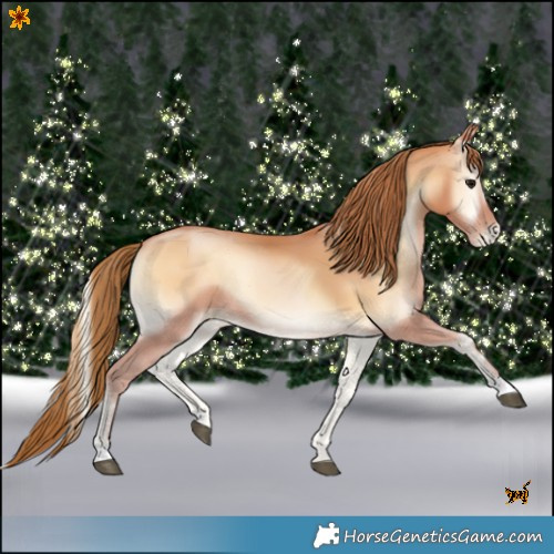 Horse Color:Bay Pearl Onyx 