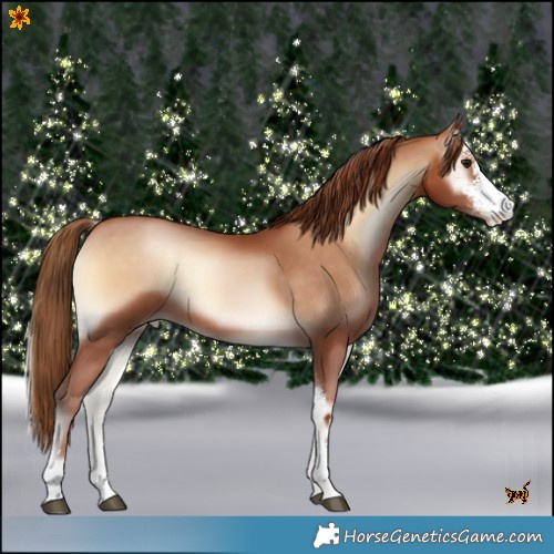 Horse Color:Brown Pearl Onyx Sabino 
