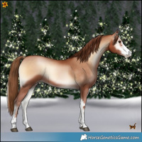 Horse Color:Brown Pearl Onyx Sabino 