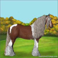 Horse Color:Gray Silver Buckskin Tobiano 