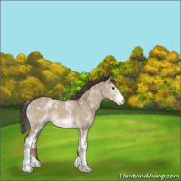 Horse Color:White Spotted Liver Red Dun 