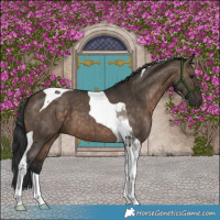 Horse Color:Brown Dun Tobiano Brindle 