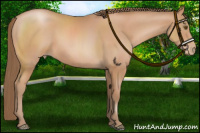 Horse Color:Black Pearl 