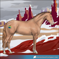 Horse Color:Gold Champagne 