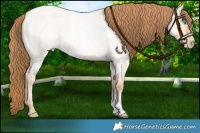Horse Color:Buckskin Roan Pearl Dun 
