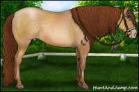 Horse Color:Gray Chocolate Buckskin Pearl 