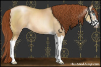 Horse Color:Gray Amber Cream Champagne Pearl Sabino Varnish 