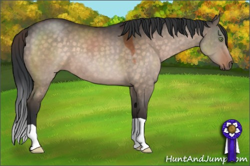 Horse Color:Brown Dun