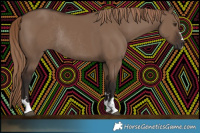 Horse Color:Liver Red Dun Rabicano 