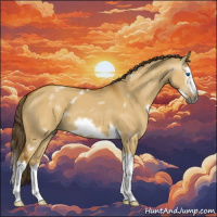 Horse Color:Gray White Spotted Buckskin Dun Splash Frame Appaloosa 
