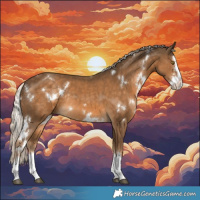 Horse Color:White Spotted Chocolate Palomino Splash Rabicano 