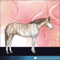 Horse Color:Black Pearl Sabino 