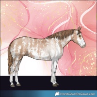 Horse Color:Black Pearl Sabino