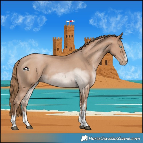 Horse Color:Black Pearl Sabino Tobiano 