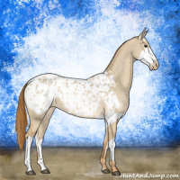 Horse Color:Red Dun Blanket  and Red Dun Splash Blanket 