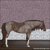 Horse Color:Liver Red Roan  and Liver Red Roan 