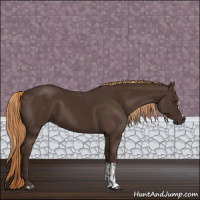 Horse Color:Liver Chestnut  and Liver Chestnut 