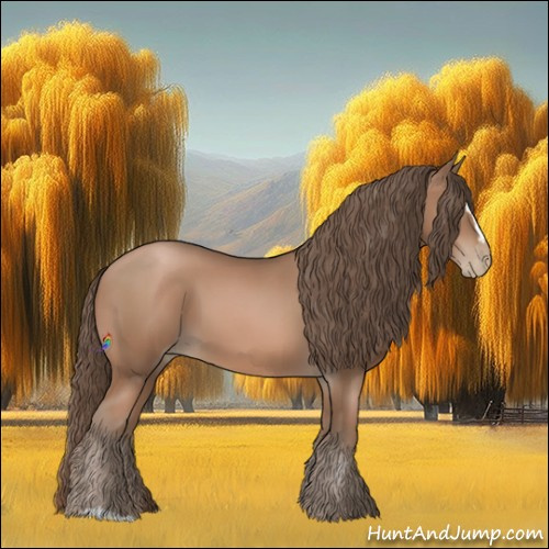 Horse Color:Black Pearl Sabino