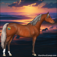 Horse Color:Silver Brown Rabicano 