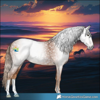 Horse Color:Gray Chestnut 