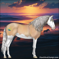 Horse Color:Silver Amber Champagne Splash 