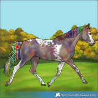 Horse Color:Painted Nacre Silver Black Splash Tobiano Rabicano 