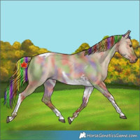 Horse Color:Painted Nacre Red Dun Tobiano 