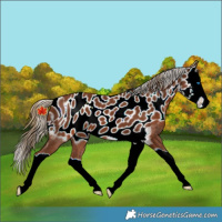 Horse Color:ERROR: UNKNOWN ANOMALY