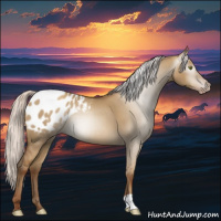 Horse Color:Gray Silver Classic Champagne Dun Appaloosa 