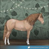 Horse Color:Black Pearl Sabino 