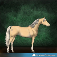 Horse Color:Palomino