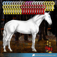 Horse Color:Gray White Spotted Silver Amber Cream Champagne Pearl Dun Splash Tobiano Frame Appaloosa Rabicano 
