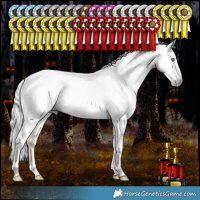 Horse Color:Gray White Spotted Silver Amber Cream Champagne Pearl Dun Splash Tobiano Frame Appaloosa Rabicano 